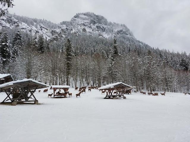 Haus Muehlgraben * Ramsau bei Berchtesgaden